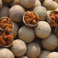 Aegle marmelos Bael Tree seeds for planting in home gardens and orchards.