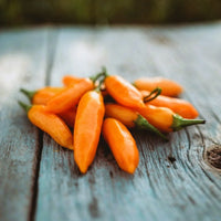 Aji Amarillo Chile Pepper heirloom seeds for home garden planting