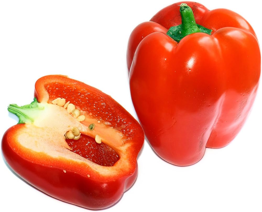 Capsicum spp Ajito Pepper seeds for planting in vegetable patch and garden