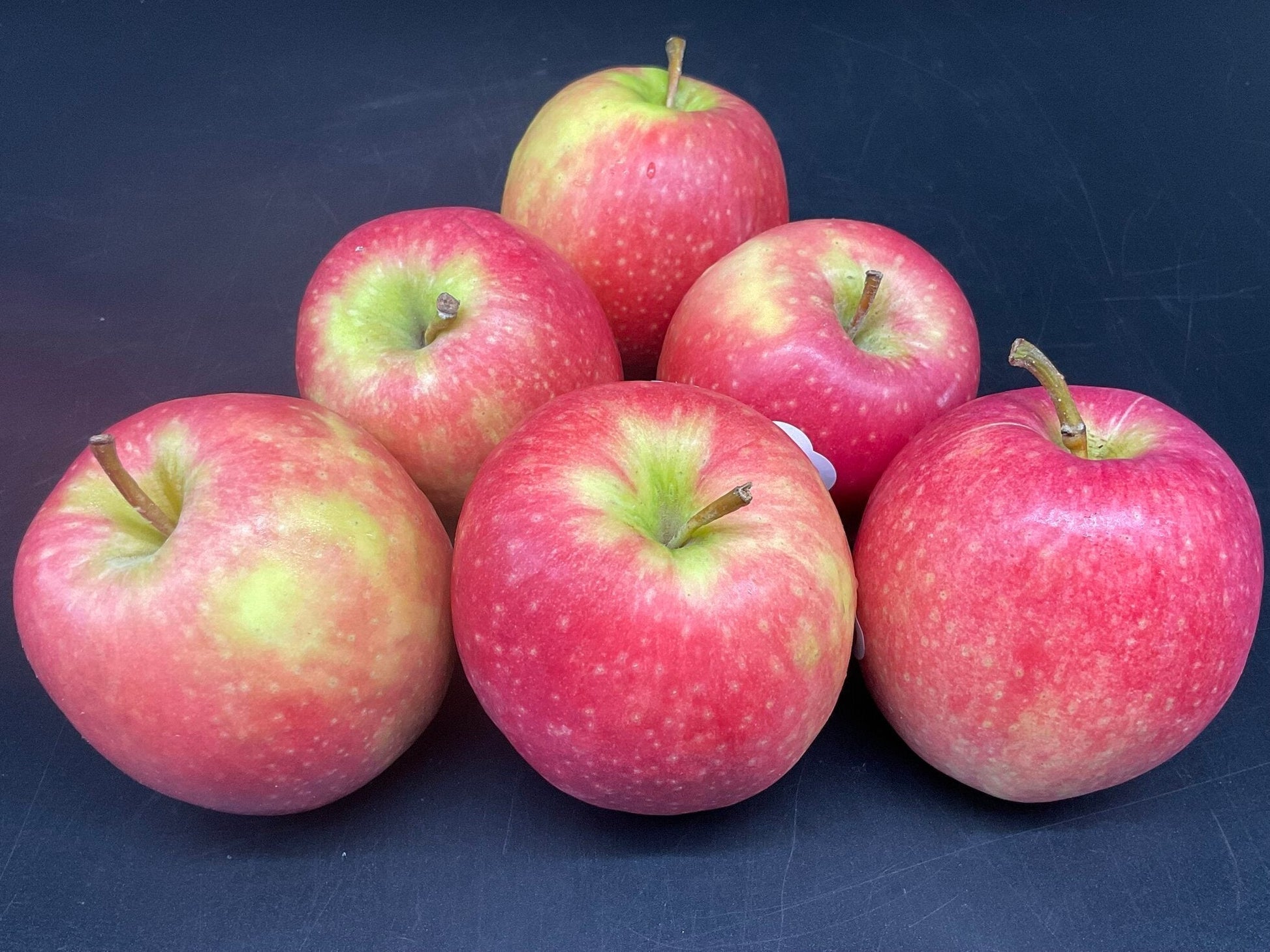 Apple seedlings growth and orchard planting guide