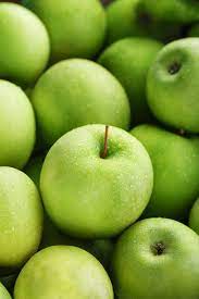 Apple seedlings sprouting in nutrient-rich soil
