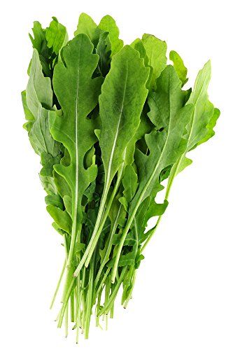 Harvested Roquette Arugula Leaves for Salads and Culinary Use