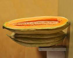 Banana melon seeds growing on healthy green melon vines