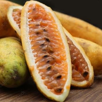 Banana Passion Fruit seeds for planting tropical vines