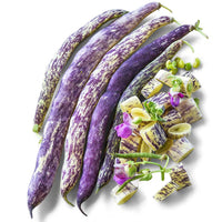 Dragon's Tongue Dutch Heirloom Bush Bean Seeds for Planting – Non-GMO Vegetable Garden Seeds