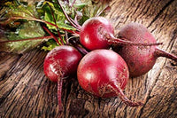 Beta vulgaris Sugar Beet seeds