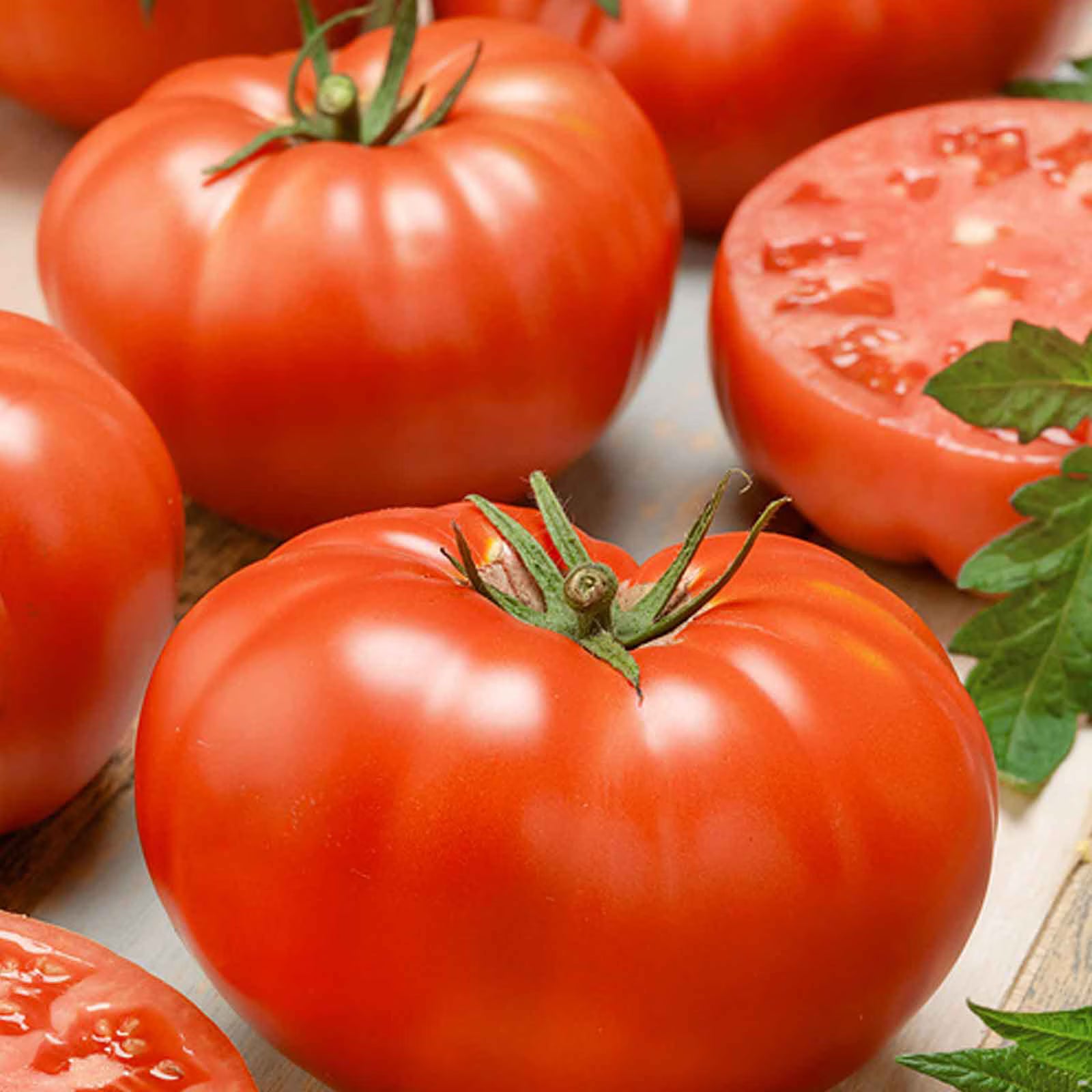 Big Beef tomato plant growing with large red fruits