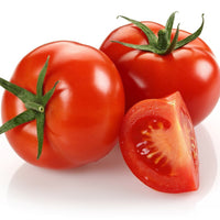 Big Tomato plants growing in home vegetable patch