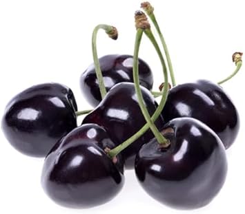 Black Cherry Tree Seeds for Planting, Step-by-Step Guide for Growing Sweet, Juicy Cherries