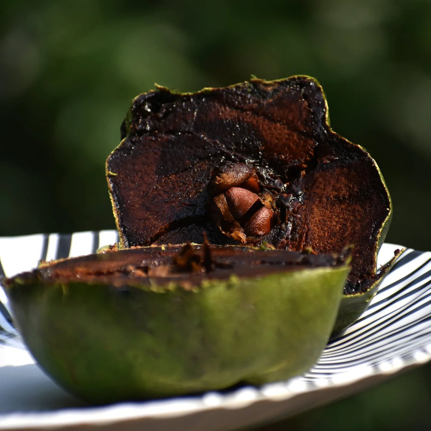 Black Sapote (Diospyros digyna) seeds for planting in home gardens.