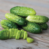 Boston Cucumber seeds for home vegetable garden planting.