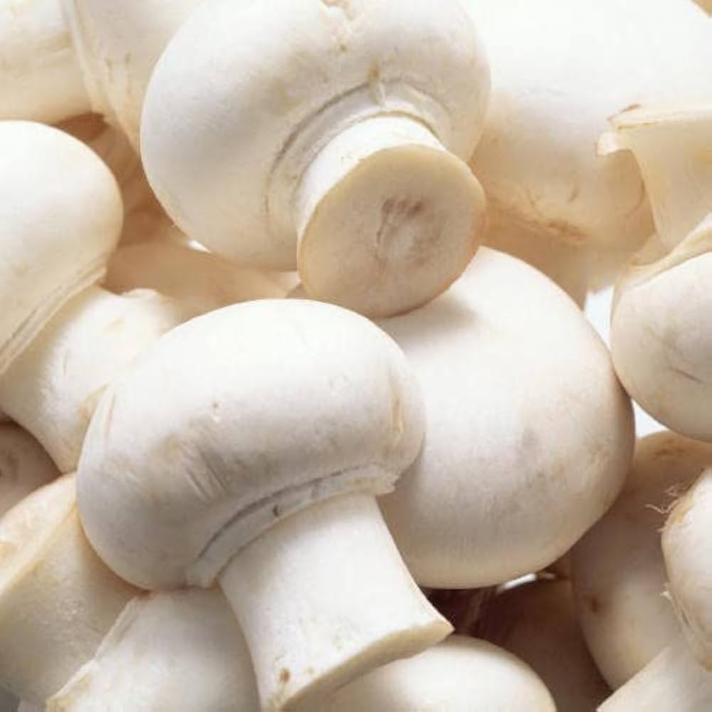 Brown mushroom seeds for planting in home gardens