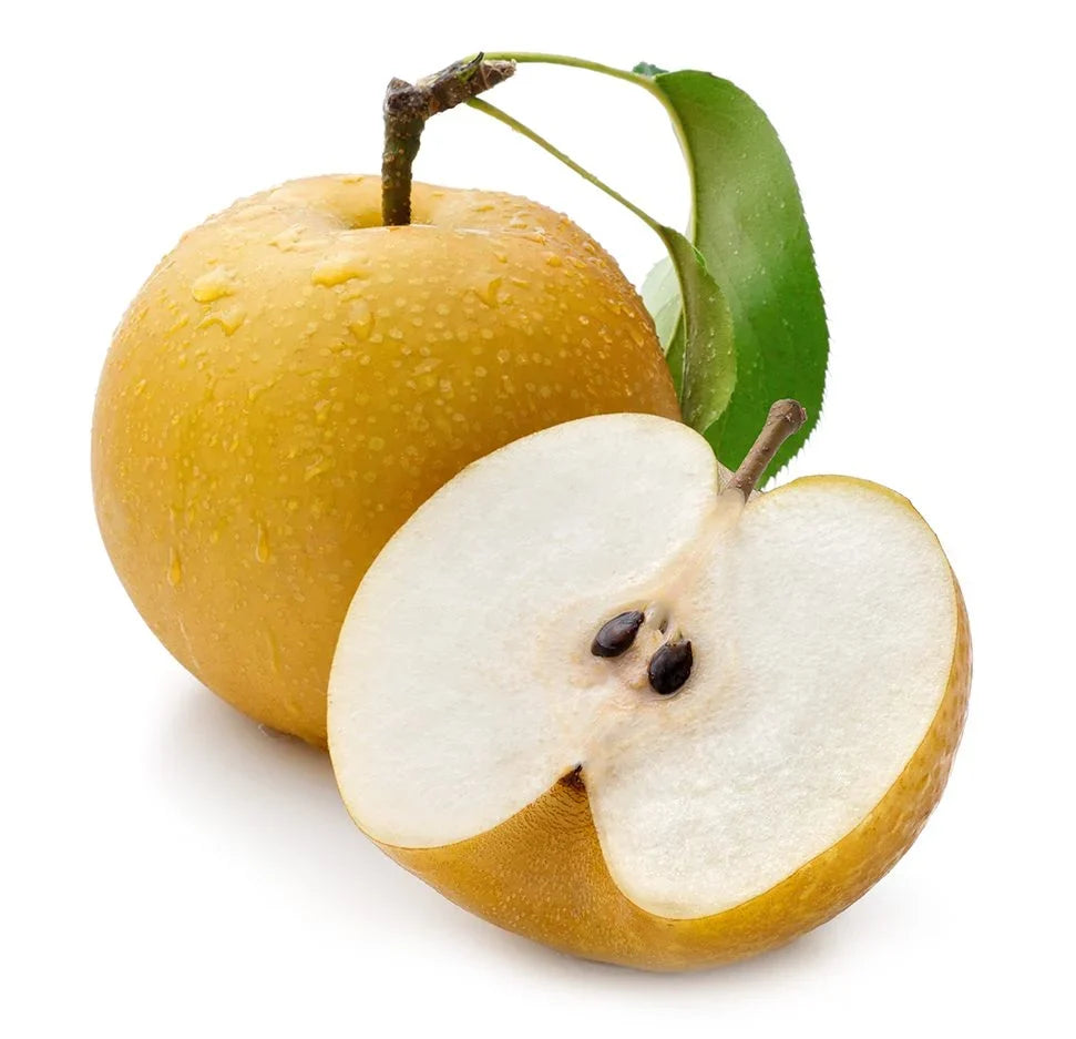 Asian Korean Pear Fruit Seeds for Planting – Heirloom Non-GMO Pear Tree Garden Seeds