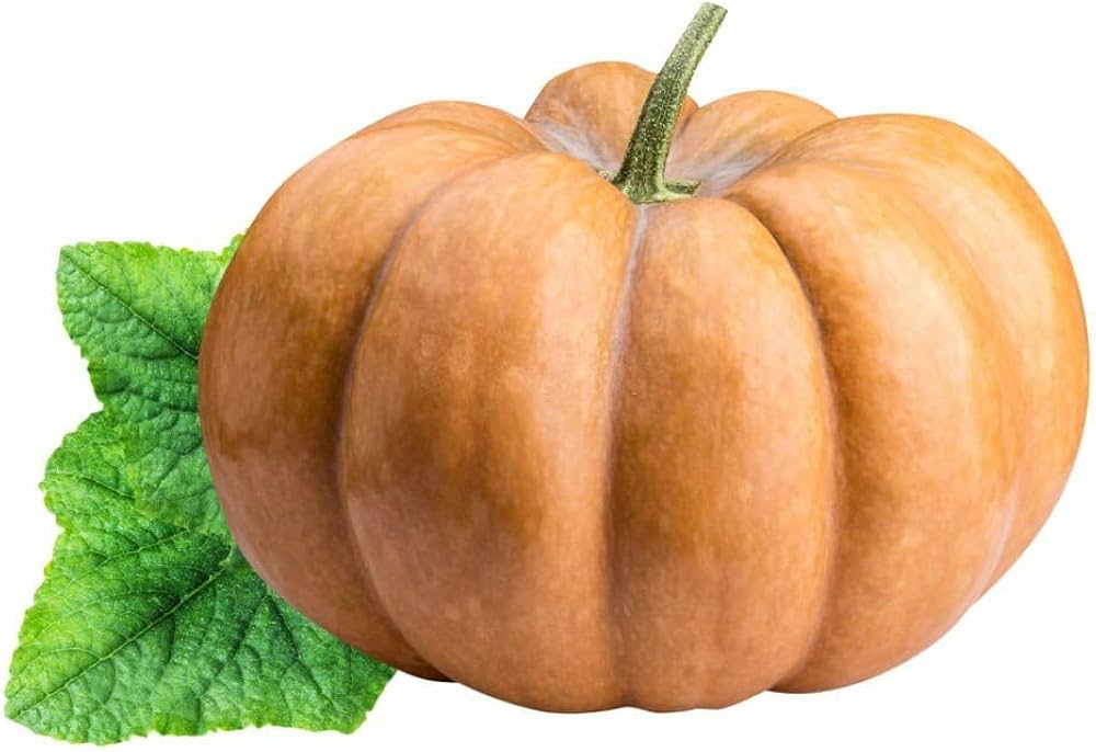 Calabaza pumpkin seeds for planting non GMO heirloom variety