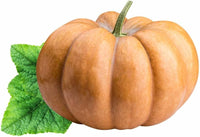 Calabaza pumpkin seeds for planting non GMO heirloom variety
