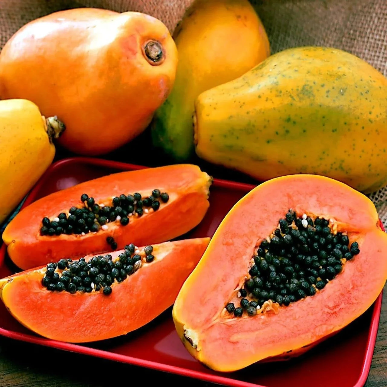 Red Lady Papaya fruit seeds suitable for raised beds, orchards, and large containers.