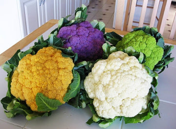 Cauliflower Cabbage Mix seeds for home garden planting