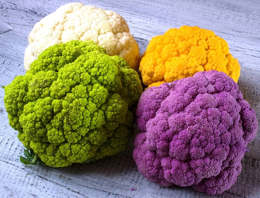 Mixed cauliflower and cabbage plants growing in a vegetable garden