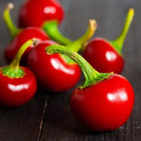 Red Sweet Cherry Pepper Seeds – Round Sweet Peppers for Home Gardens