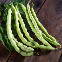 Chinese Pole Bean Vines Growing on Garden Trellis