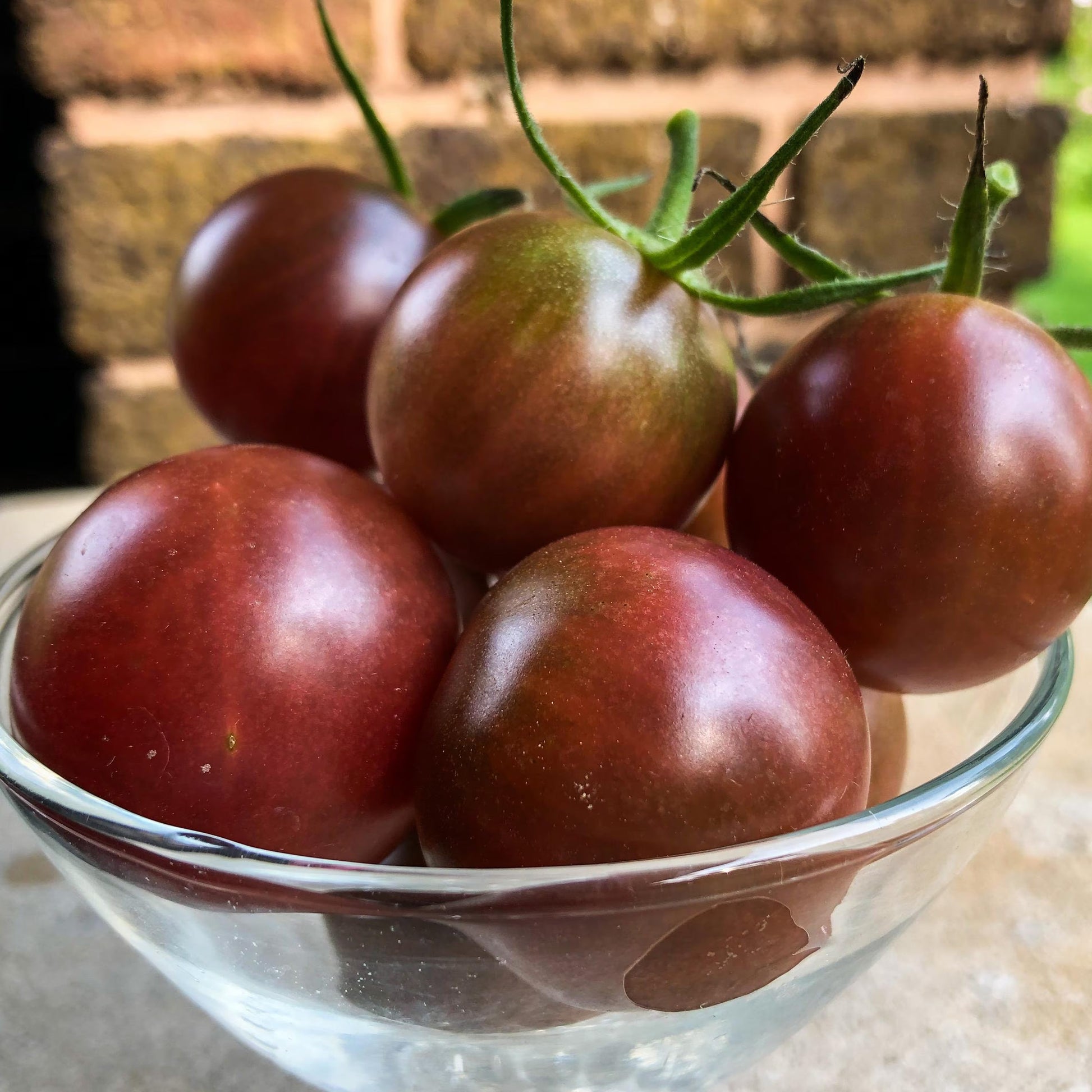 Fresh Chocolate Cherry Heirloom Tomatoes