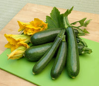 Climbing courgette vegetable plants suitable for outdoor gardens and raised beds.