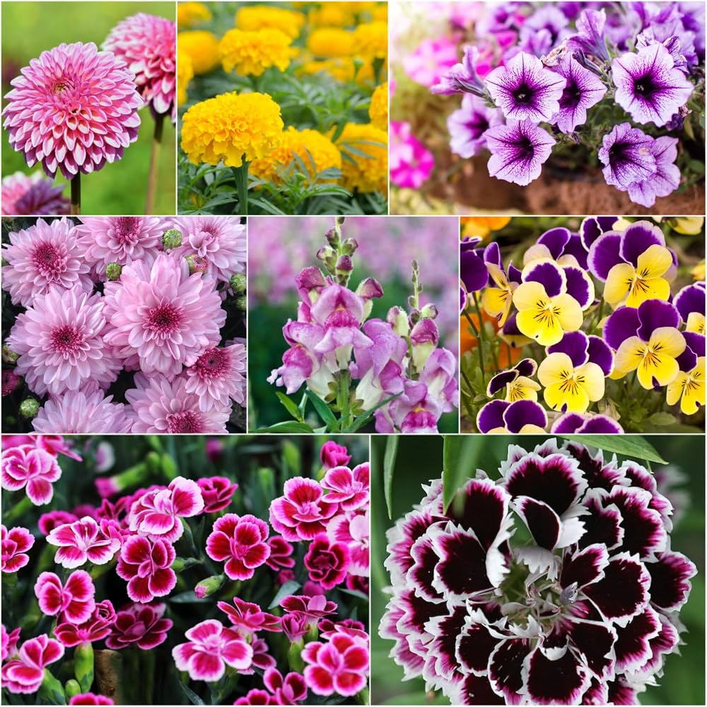 Mixed flowering plants blooming in a vibrant garden bed.