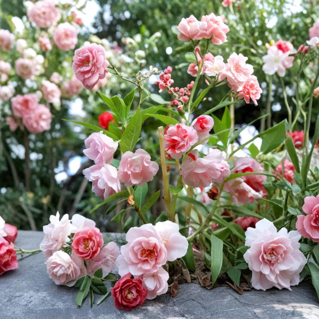 Double Impatiens flowers growing in hanging baskets and outdoor containers.