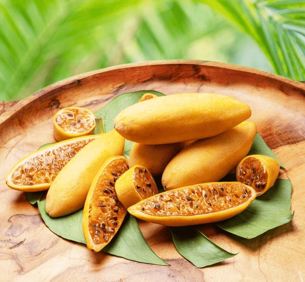 Banana Passion Fruit (Passiflora mollissima) Pink Passion Flower Vine Seeds – Yellow Skin, Orange Pulp