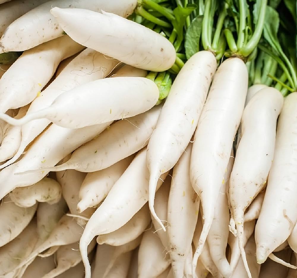 Daikon radish seeds for home garden and outdoor vegetable planting.