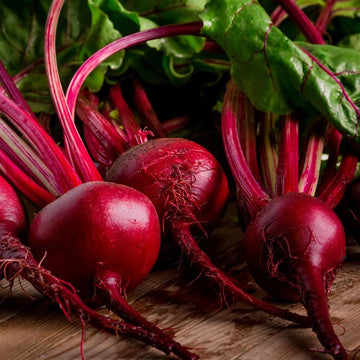 Detroit Dark Red Beets Growing in Home Garden
