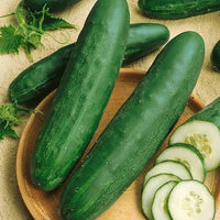 Diva Hybrid cucumber seeds for home vegetable garden planting