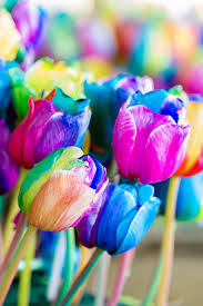 100 Pcs
