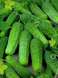Octopus Cucumber Seeds for Planting – Unique Vegetable Garden Seeds for Home Gardens