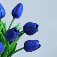 Deep Blue Tulip Flower Seeds for Planting – Heirloom NonGMO Organic Garden Seeds – Shade Tolerant High Germination
 
 Sale for planting in home garden