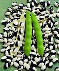 100 Pcs
