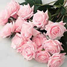 Light Pink Home Garden Rose Flower Seeds Heirloom NonGMO Organic Garden Seeds for Planting
 
 Sale for planting in home garden
