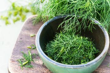 Dukat Dill Seeds Anethum Graveolens Sweet Heirloom European Variety