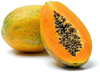 Close-up of Dwarf Sweet Papaya foliage