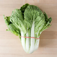 Napa Cabbage Michihili Seeds – Tall Asian Cabbage for Home Garden Growing