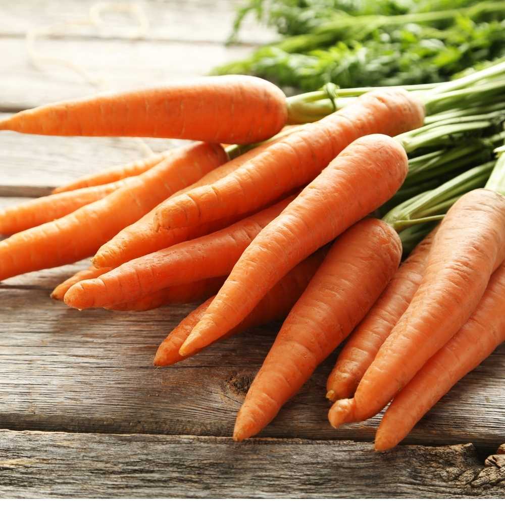 Fresh Early Nantes carrot variety suitable for raised beds and containers.