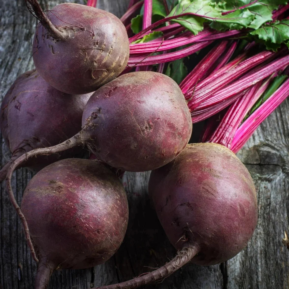 Early Wonder Beet Roots with Green Tops
