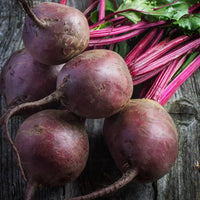 Early Wonder Beet Roots with Green Tops