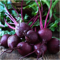 Early Wonder Tall Top Beet Seeds for Planting