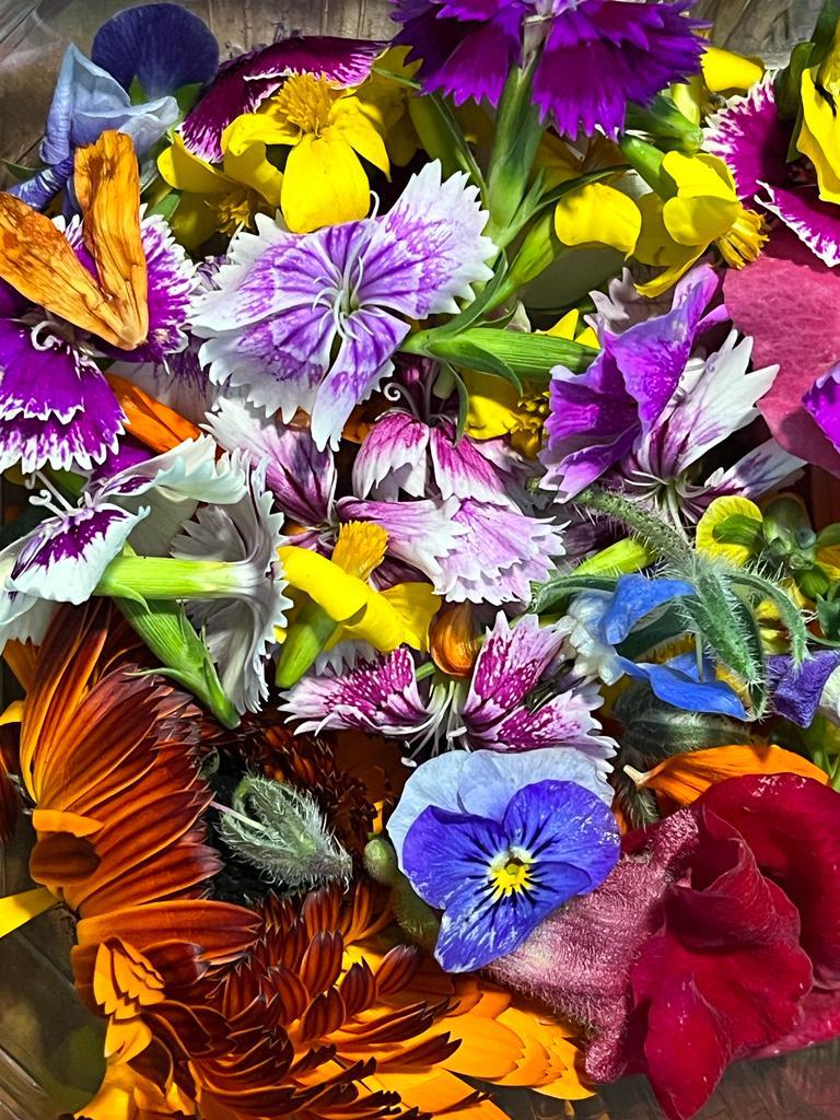 Premium Edible Flower Seed Pack for Colorful Gardens