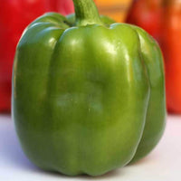 Emerald Giant pepper plants growing in garden