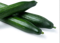English Cucumber Vines Growing on Garden Trellis