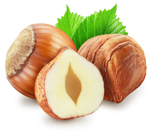 European Hazelnut Tree (Corylus avellana) seeds for planting