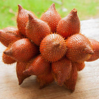 Exotic Salak palm seeds for containers and outdoor gardens