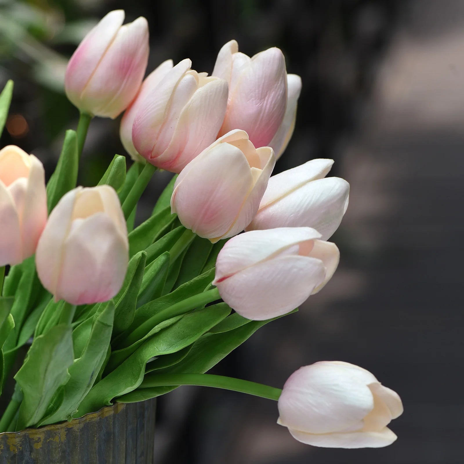 Pale Pink Tulip Flower Seeds for Planting Garden Favorite Heirloom & GMO Free Seeds for Home Garden
 
 Sale